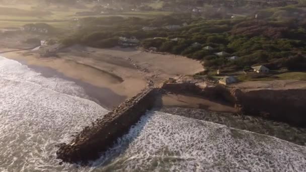 Oiseaux Aériens Cinématographiques Prise Vue Belle Plage Sable Littoral Roja — Video