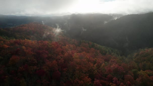 Кинематографический Беспилотный Снимок Цвета Осенних Гор Горах Грейт Смоки Северная — стоковое видео