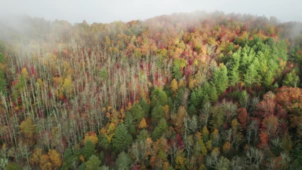 Amplia Toma Drones Colores Las Montañas Otoño Las Grandes Montañas — Vídeo de stock