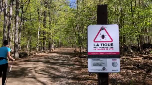 Deux Randonneurs Avec Des Bâtons Marche Marchent Prudemment Devant Panneau — Video