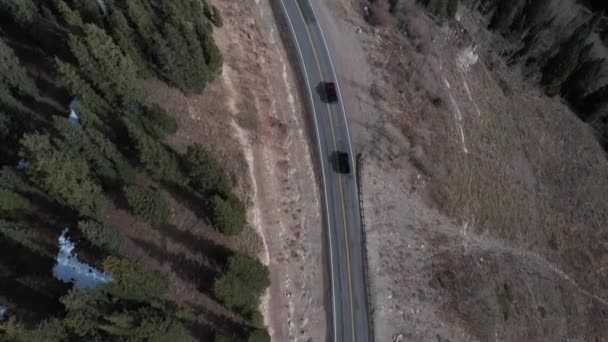 山の曲線の周りの4K木の車 — ストック動画