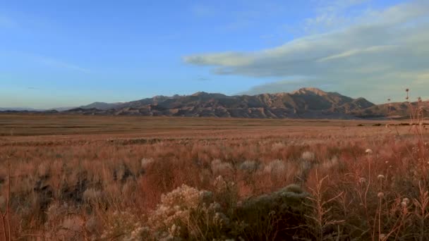 Great Sands National Park Dolly Sinistra Destra — Video Stock