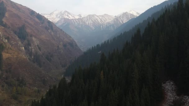 从一个山谷飞向哈萨克斯坦的Trans Ili Alatau山脉的无人驾驶电影镜头 — 图库视频影像