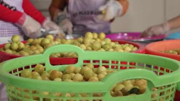 Cutting Leaves Harvested Yellow Mountain Lemon Vietnam — Stock Video