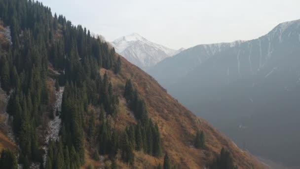 遠くカザフスタンのトランス アラタウ山脈のドローン映像を映像化 — ストック動画