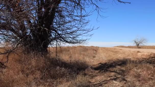 Dolly Video Colorado Plains Derecha Revelar Carretera — Vídeo de stock