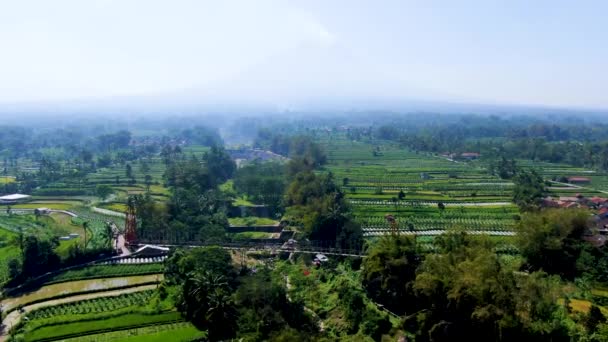 Jokowi桥 俯瞰瀑布和爪哇的风景 空中景观 — 图库视频影像