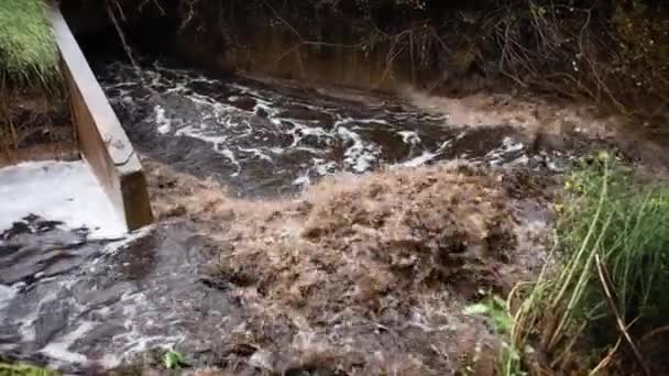 大雨过后 大河急流 — 图库视频影像