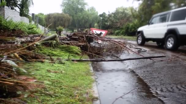 Overstromingsnasleep Straat Gebroken Verkeersbord Bomenpuin Auto Passeren Handheld — Stockvideo