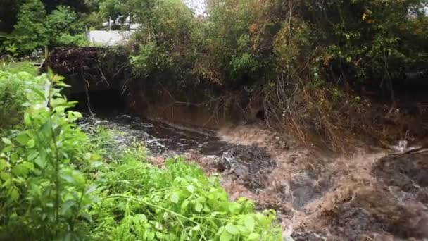 Бегущие Речные Пороги Наводнения Длинная Кастрюля Направо — стоковое видео