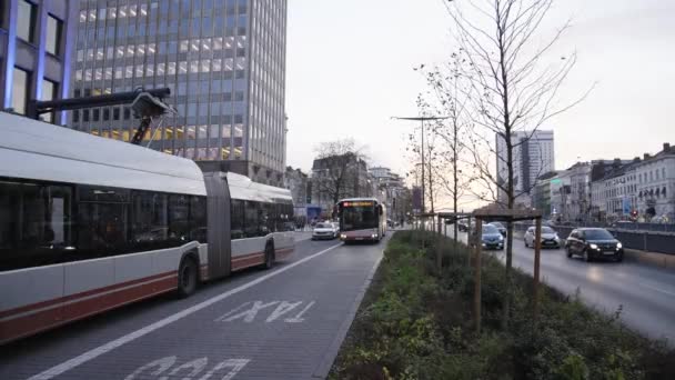 Elektromos Buszok Feltöltése Csúcsforgalomban Európai Fővárosban Brüsszelben Belgiumban Áramszedő Leeresztés — Stock videók