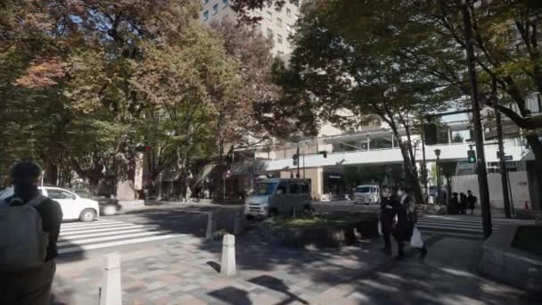 Japonés Esperando Cruzar Una Concurrida Calle Comercial Residencial Durante Temporada — Vídeos de Stock