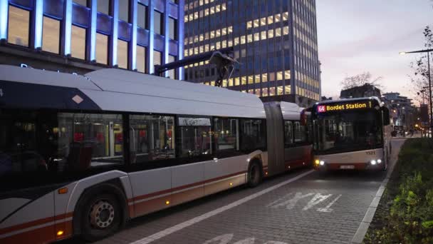 Elektriska Bussar Laddningsområdet Ekologiskt Koncept Nollutsläpp Grön Energi — Stockvideo