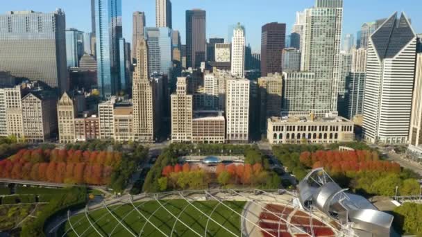 Strzał Powietrza Nad Millennium Park Fasola Cloud Gate Centrum Chicago — Wideo stockowe