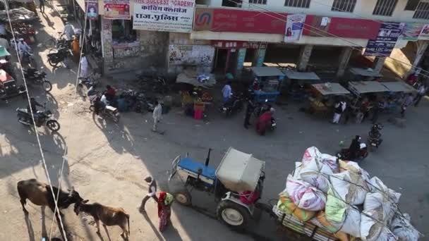 Dooni Nin Gerçek Hayat Sahnesi Hindistan Daki Insan Trafik Ile — Stok video