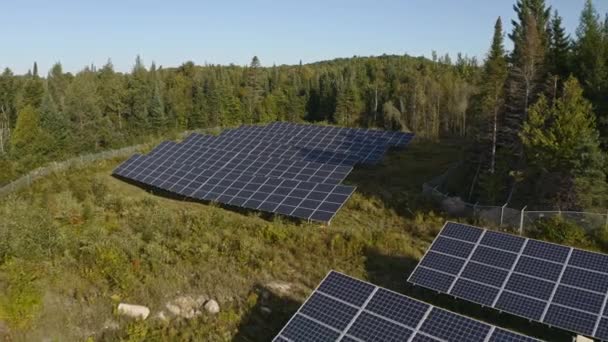 Lanzamiento Inverso Drones Solares Bosques Canadá Verano — Vídeos de Stock