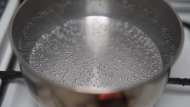 Nahaufnahme Von Wasserblasen Die Sich Vor Dem Kochen Einem Edelstahltopf — Stockvideo