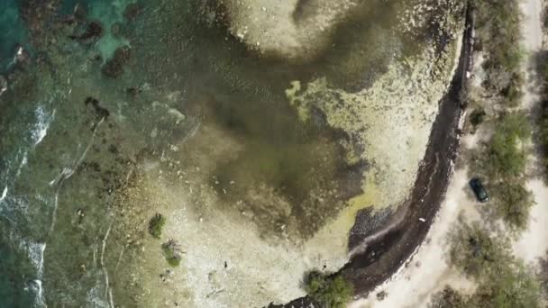 Aerial Barche Sulla Spiaggia Monte Rio Repubblica Dominicana Top Reverse — Video Stock