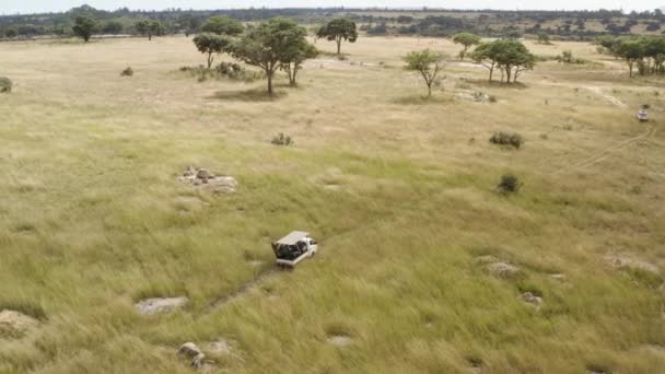 Aerial Showing Cars Safari Savannah Zimbabwe — Stock Video