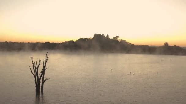 Aereo Sorvolando Lago Mattina Presto Salendo Mostrando Zona Intorno Zimbabwe — Video Stock