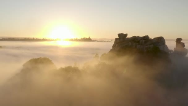 Aérienne Vole Reculons Tôt Matin Travers Brouillard Révélant Une Énorme — Video