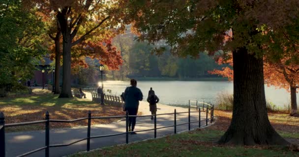 Ludzie Chodzą Porannym Świetle Jesienią Wzdłuż Harlem Meer Central Parku — Wideo stockowe