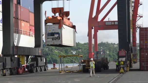 Contenedor Carga Grúa Camión Puerto Haina República Dominicana Mano — Vídeo de stock