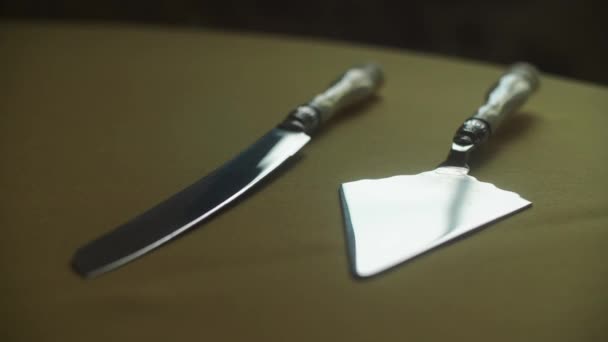 ウェディングケーキ用のナイフとサーバーセット — ストック動画