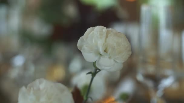婚宴上的花束 — 图库视频影像