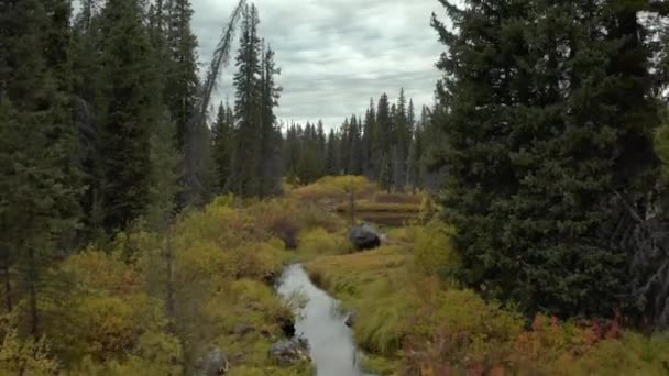 Untouched Nature Scenery Remote British Colombia Canada Aerial Footage — Stock Video