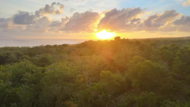熱帯雨林 空に美しい雲が沈む夕日のパノラマビュー — ストック動画