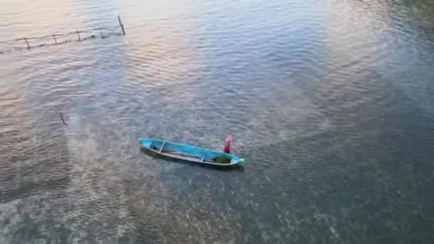 浅い水の中で青いボートを引いて海藻を集める農家もいます ドローンのトップダウンビュー — ストック動画