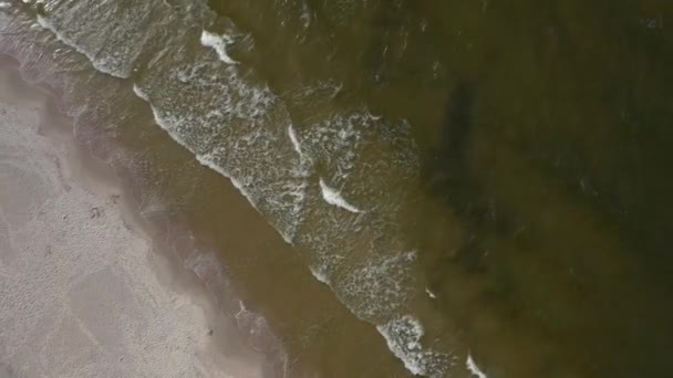 Malowniczy Widok Zieloną Plażę Samotną Osobą Spacerującą Brzegu Dron Powietrzny — Wideo stockowe
