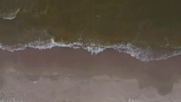 Waves Shoreline Baltic Sea Summertime Aerial Topdown — Stock Video