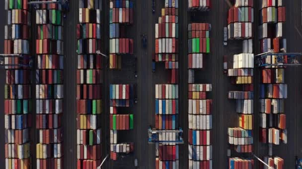 Containerhafen Mit Stapel Von Bunten Frachtcontainern Antenne — Stockvideo