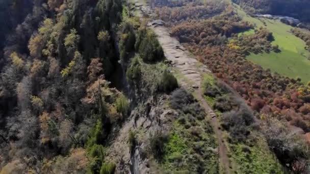 Aérea Meseta Estrecha Temporada Otoño Bosque Con Árboles Colores Amarillentos — Vídeos de Stock