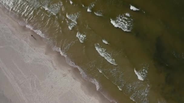 Lone Persoon Loopt Sandy Shoreline Met Golvende Golven Oostzee Luchtfoto — Stockvideo