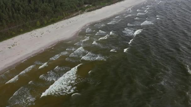 バルト海沿岸の白い砂と緑豊かな森の長いストレッチ — ストック動画