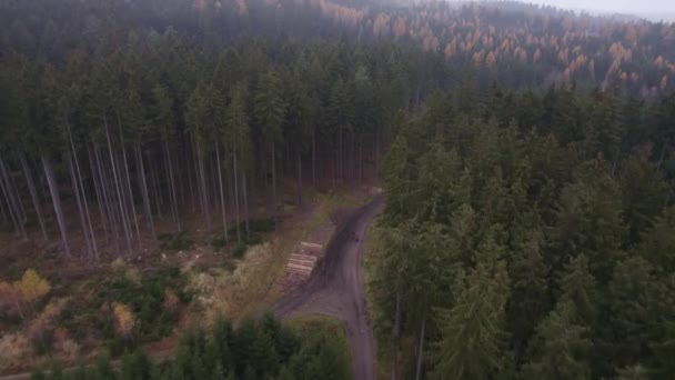 Vista Aerea Sul Sentiero Forestale Nella Foresta Con Terreno Collinare — Video Stock