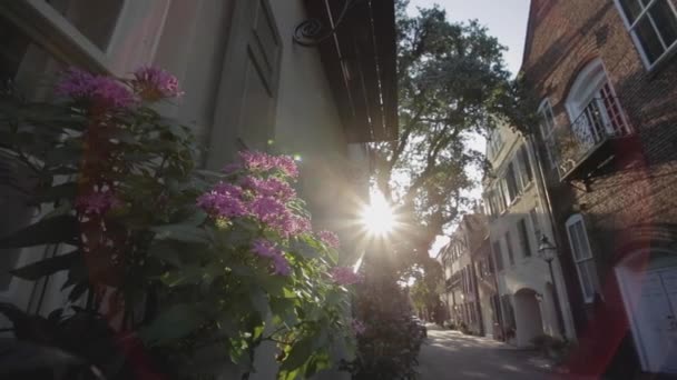 Landschaft Der Historischen Gassen Der Innenstadt Von Charleston South Carolina — Stockvideo