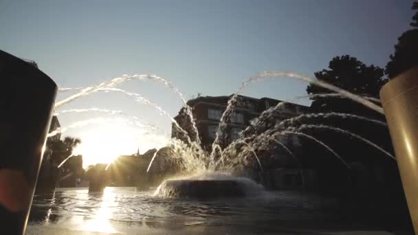 Escenario Fuente Charleston Carolina Del Sur Waterfront Park — Vídeo de stock