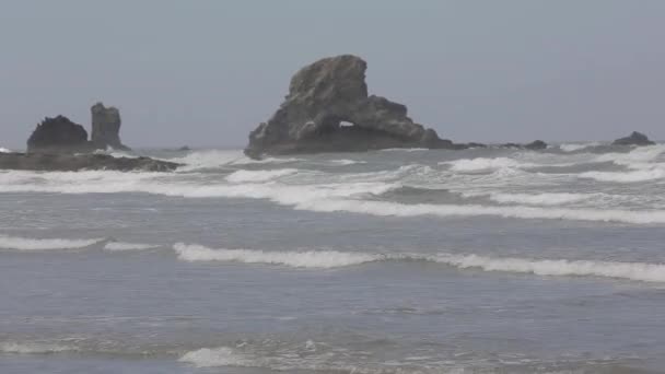 Okyanus Dalgaları Oregon Kıyıları Pasifik Okyanusu — Stok video