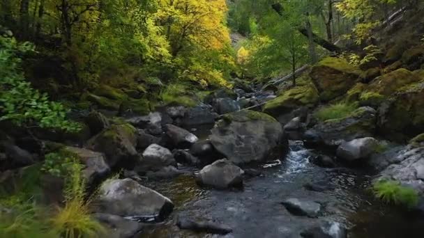 Drone Flyover Van Berg Stoom Herfst — Stockvideo