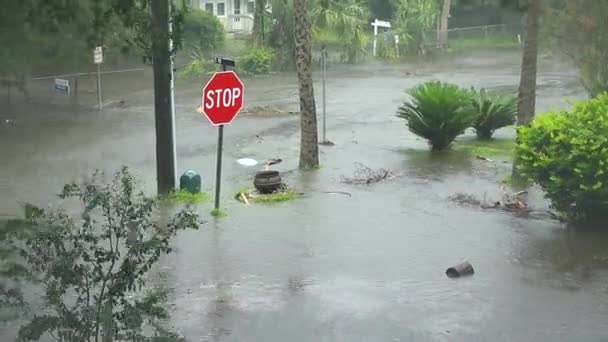 Cena Rua Inundada Durante Furacão — Vídeo de Stock