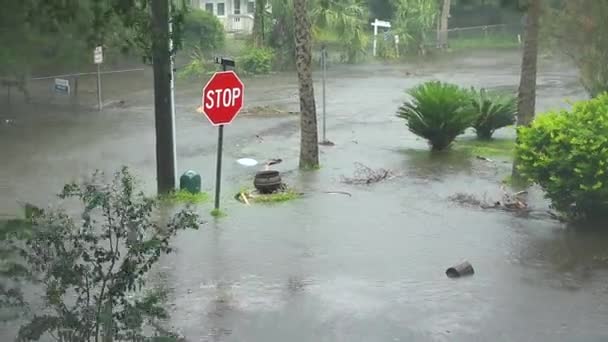 Inundó Escena Calle Durante Huracán — Vídeo de stock