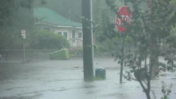 Затопленная Улица Вызванная Ураганом — стоковое видео