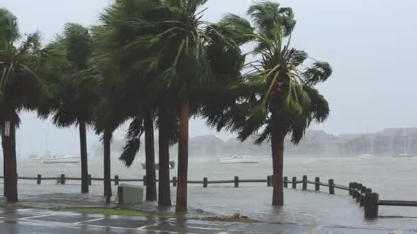 Kasırga Sırasında Tekneler Darmadağın Oluyor — Stok video