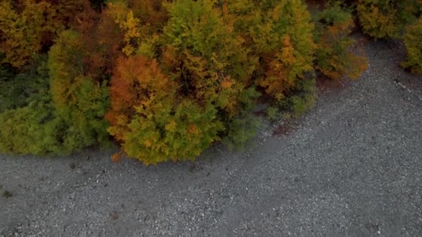 Herfst Kleurenpalet Prachtige Alpenvallei Met Gouden Boombladeren — Stockvideo