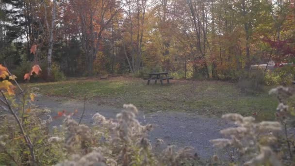 Csendes Üres Piknik Asztal Egy Kempingben Ahogy Ősz Közeledik Szezon — Stock videók