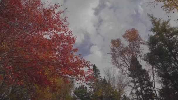 가을이 알리는 출발의 이변하는 상공에서 이하늘을 가로질러 — 비디오